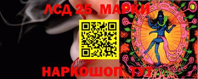 гашик Кимры
