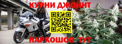 гашик Кимры