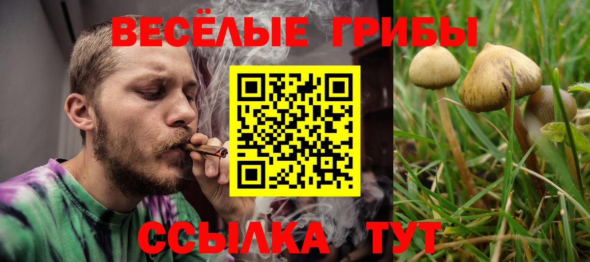 Галлюциногенные грибы Magic Shrooms  Псилоцибиновые грибы мухоморы  Королёв  Вход с VPN 